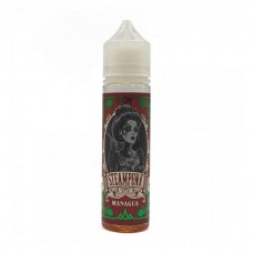 SteamPunk Flavor Shots Managua 20ml/60ml